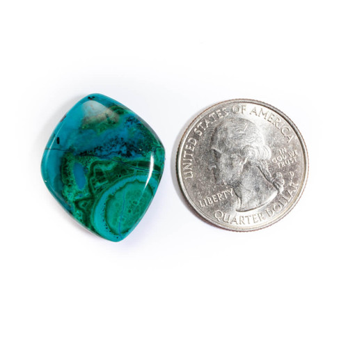 Cabochons Ray Mine Chrysocolla (Arizona) 22x26x6mm RMCE1 