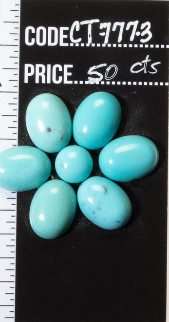 Turquoise Cabochons Campitos Turquoise Set - 50cts   CT-7773 