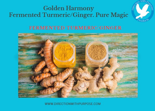 Golden Harmony: Unlocking the Power of Turmeric and Ginger – Benefits, Fermentation Magic, and Delicious Recipes