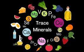 Trace Minerals 101: Benefits, Functions and Examples