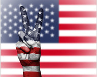 WHY Red, White & Blue? Color Story #3 WHY Red, White & Blue? Color Story #3