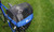 Pet Cover for DairyMan Basket [BiKASE]