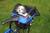 Pet Cover for DairyMan Basket [BiKASE]