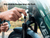 Velotric Discover 3 Ebike [Velotric]