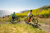 Velotric Summit 1 Ebike [Velotric]