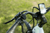 Velotric Packer 1 Ebike [Velotric]