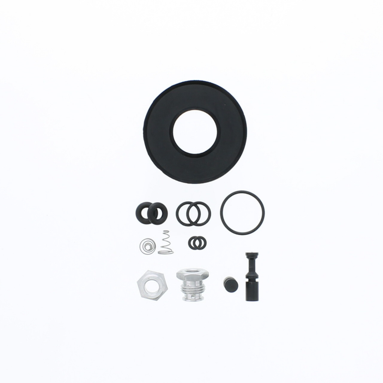 Rebuild Kit for Rl-700N/RL-700DA (Seals & Valves) - RL-700N-RK