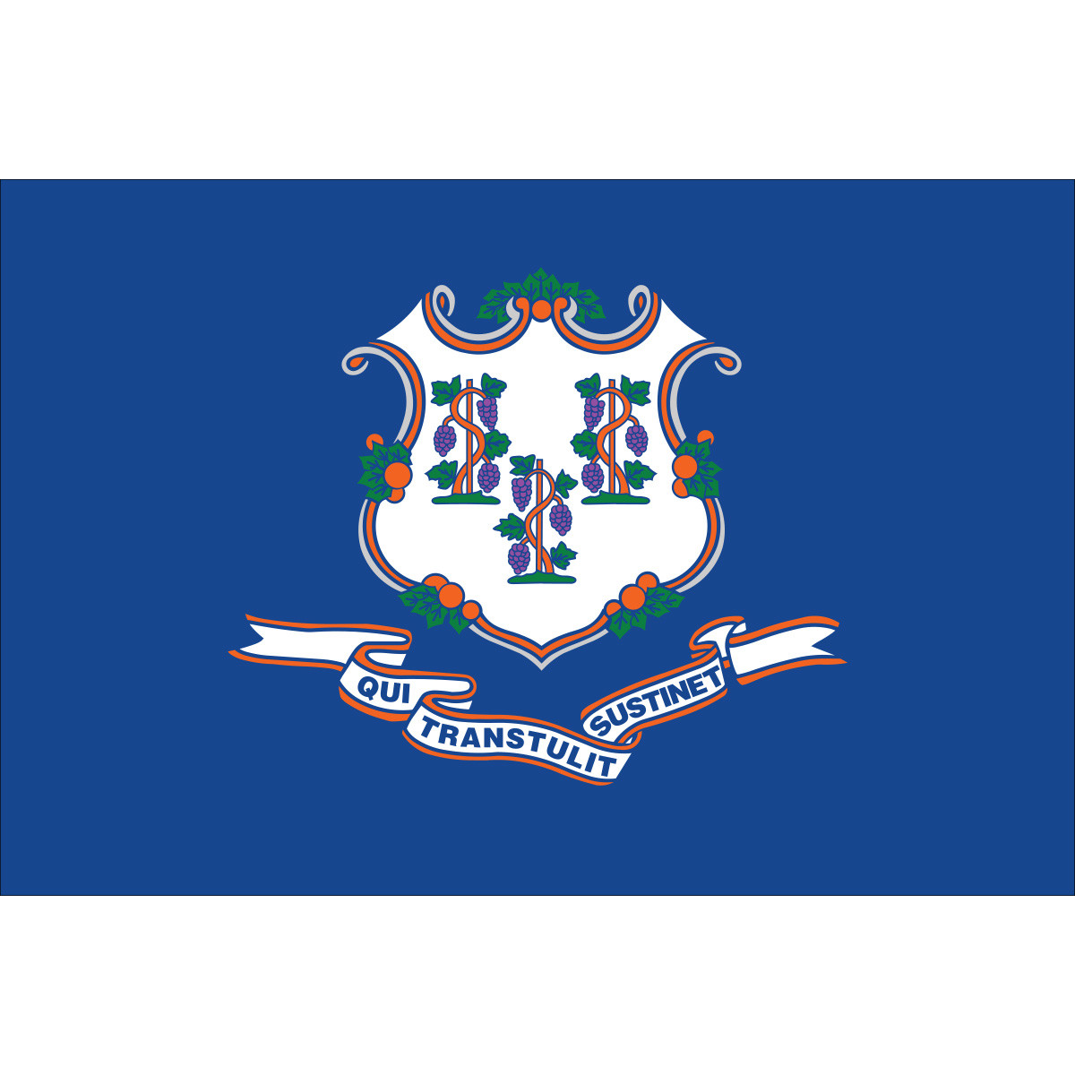 Connecticut State Flag Nylon | Flagpoles, Flags, and Flagpole