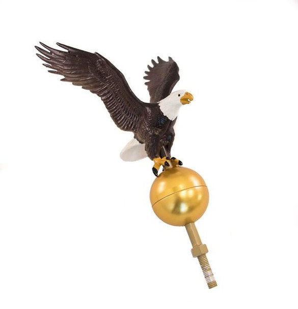 12" Natural looking Flying Eagle with gold ball