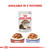 Royal Canin Ageing 12+ in Jelly Wet Cat Food