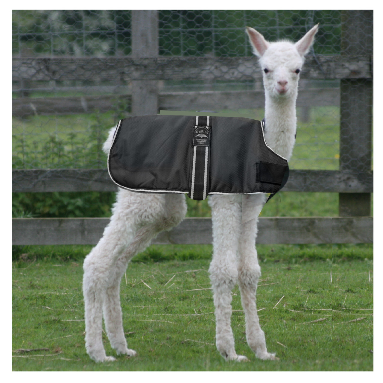 t*k様 seya for BIOTOP EX Alpaca parka\