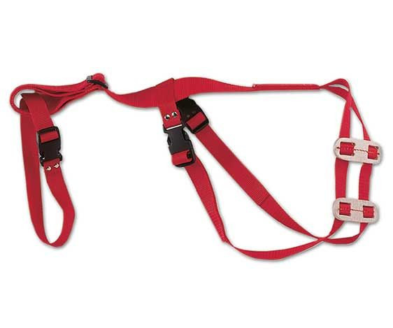 Cox Agri Ewe Truss Prolapse Harness - Red - Homestead Farm Supplies