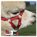 Alpaca Snap Fastening Headcollar - With Lead - SPECIAL OFFER