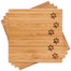 Paw Print Coasters