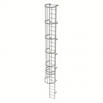 Tri-Arc Fixed Ladder With Safety Cage: 26 Ft, 26 Ft Top Step Height, 27 Steps, 36 In Overall Wide, Top