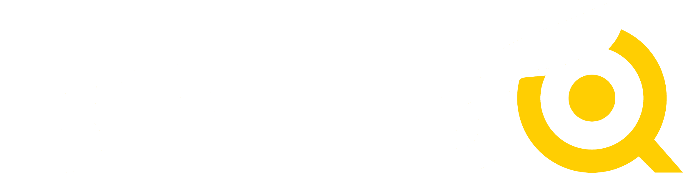 BallyQ Safety Intelligence