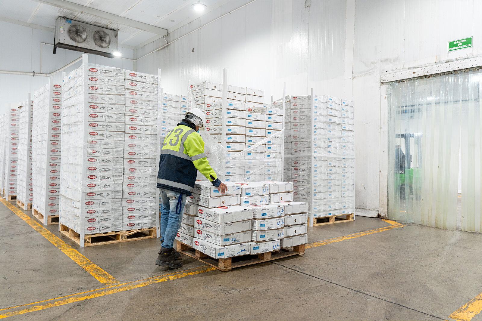 Cold Storage & Food Distribution