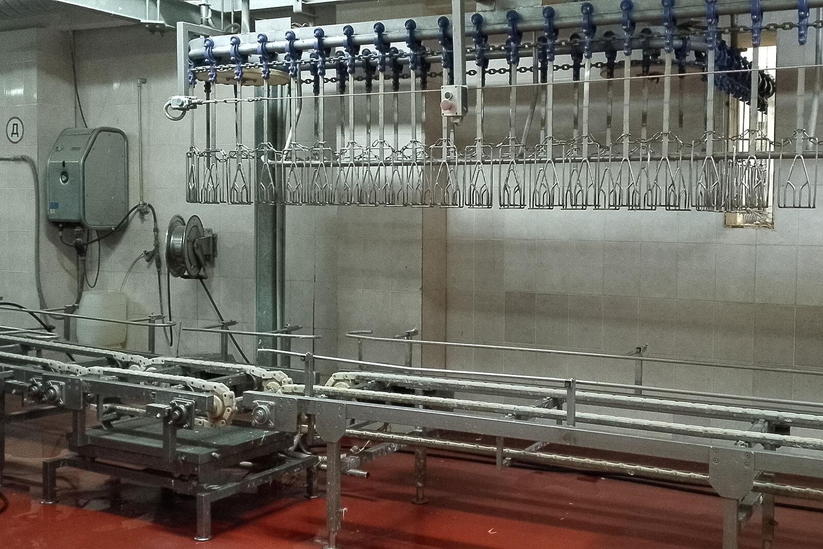 Meat & Poultry Processing