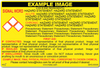 GHS Secondary Container Labels, 25/pk