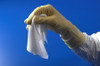 Wiper, Polyester