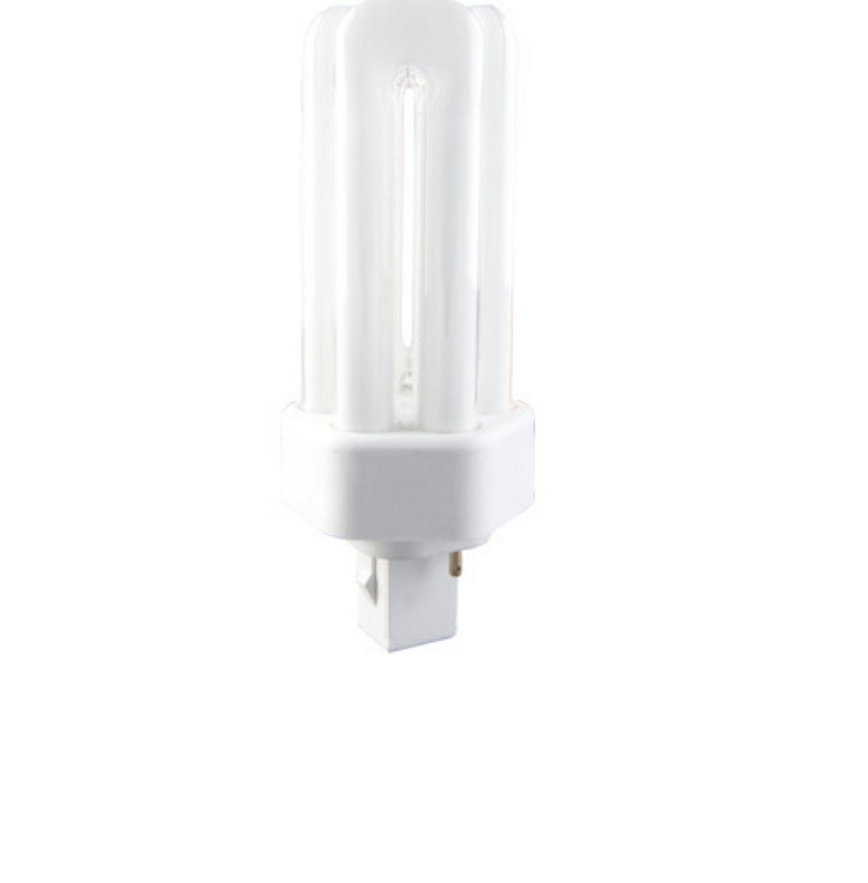 Bulb, Fluorescent, Dual