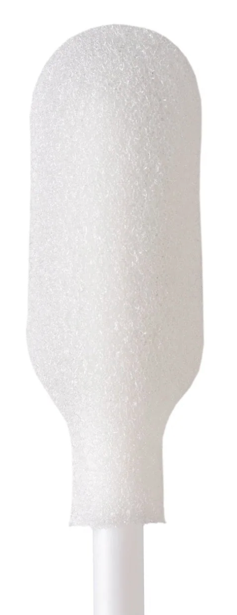 Swab, Foam, Large Head, Poly Shaft, 20 x 50/pk