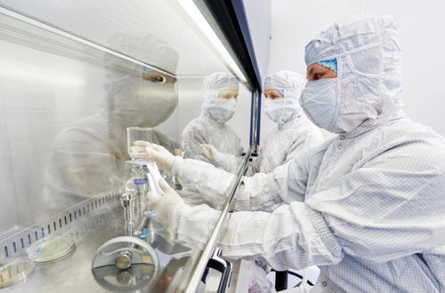 Gloves, Nitrile, Powder Free, Sterile Gloves, Nitrile, Powder Free, Sterile