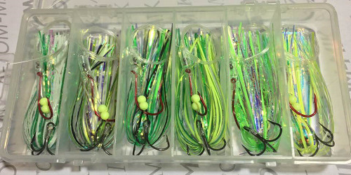 (6ct) Tournament Series UV w/Plano