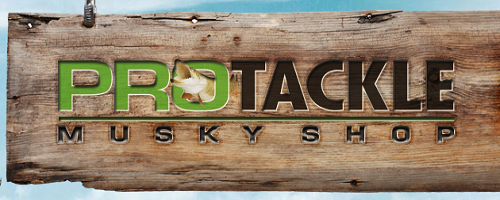 pro-tac.png