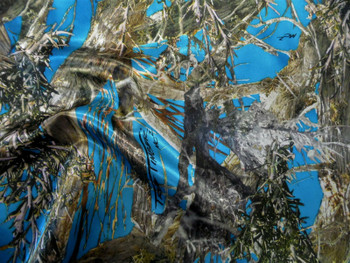 Fabric True Timber Camo MC2 Blue Charmeuse Silky Bridal Satin CS26