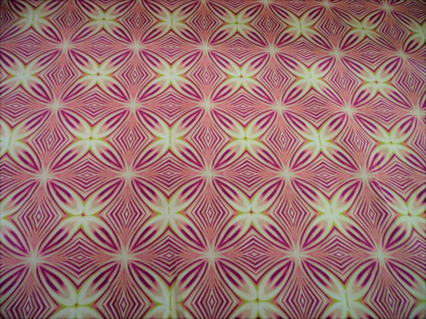 Fabric Upholstery Drapery Waverly Bohemia Mulberry Poetic Wanderlust CC25