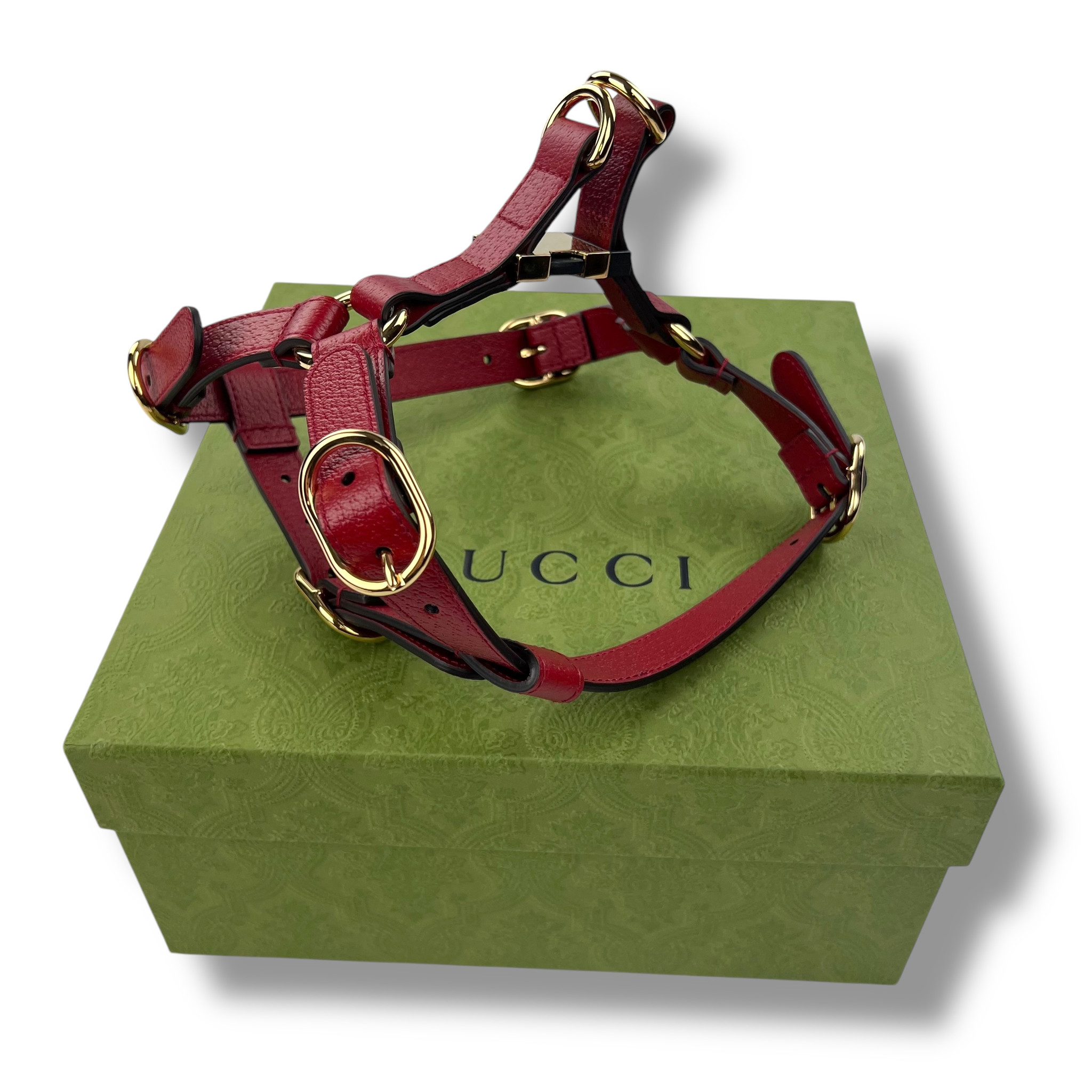 Bow Tie Gucci Dog Harness Gucci Dog Bow Tie
