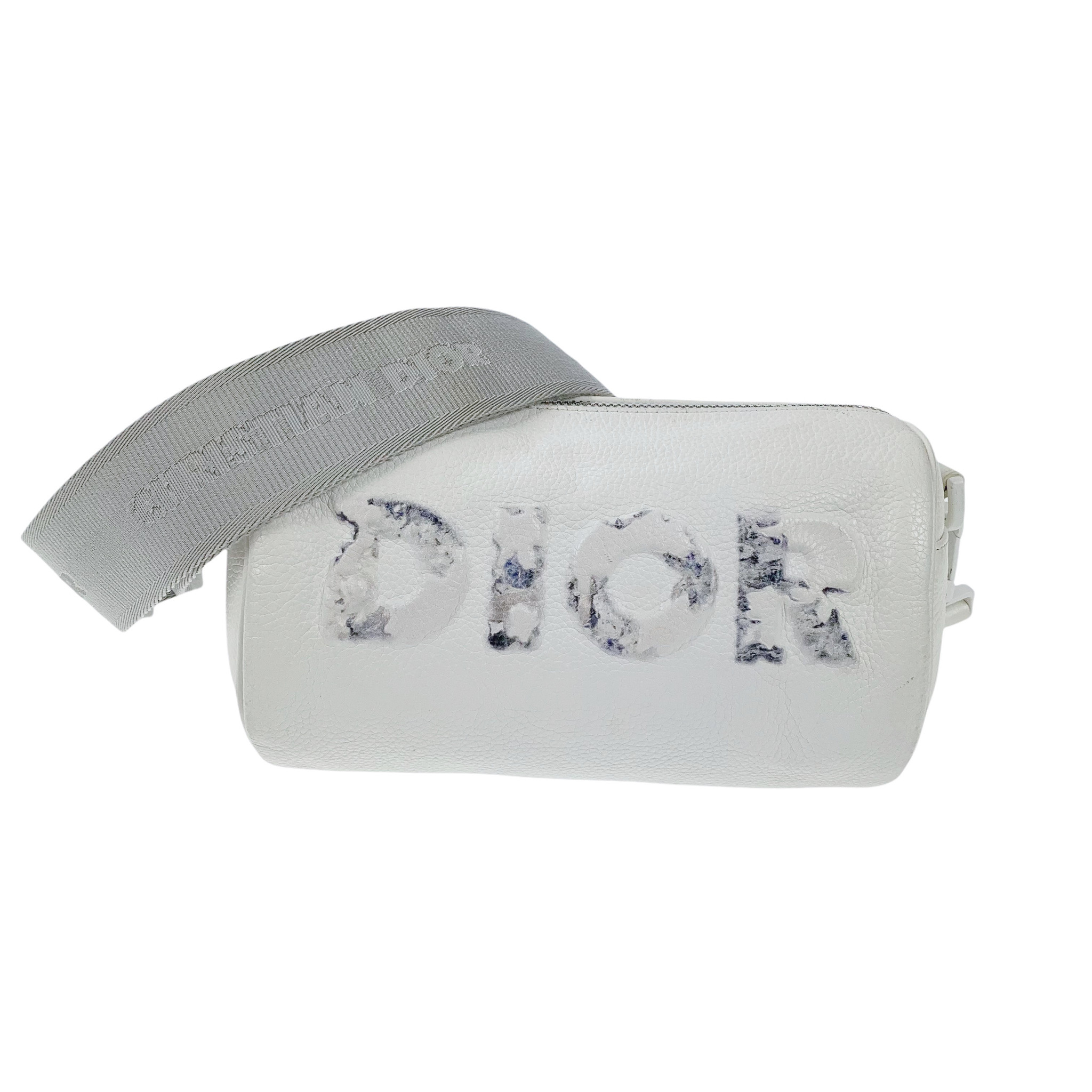 dior daniel arsham bag
