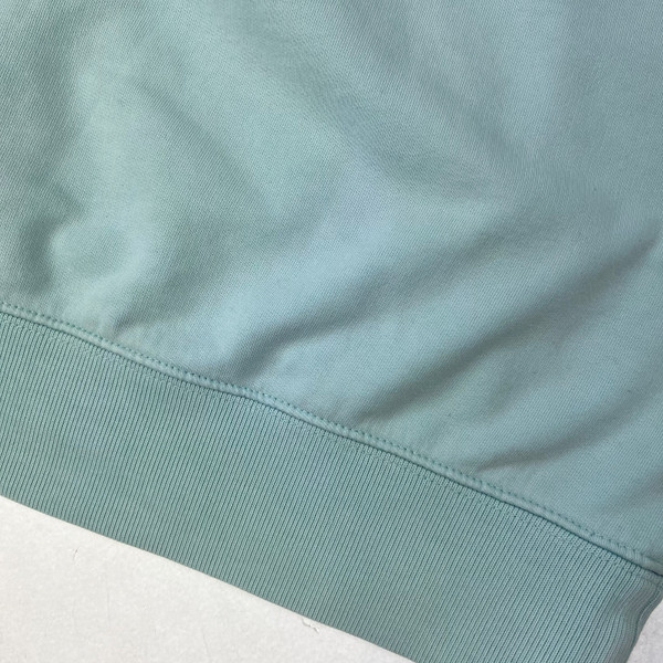 Palace Sans Ferg Duck Egg Blue Hoodie