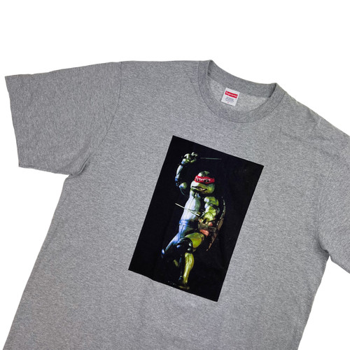 Supreme Raphael T Shirt Grey - Oliver's Archive