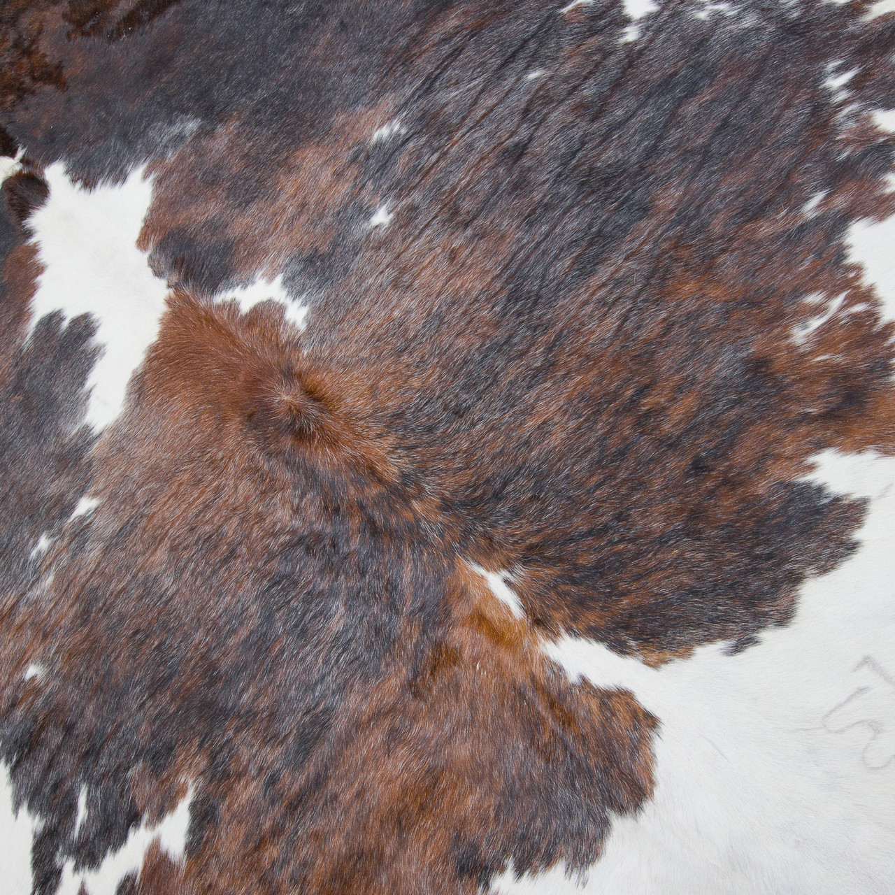 Cowhide Rug JAN23138 (210cm x 210cm) City Cows