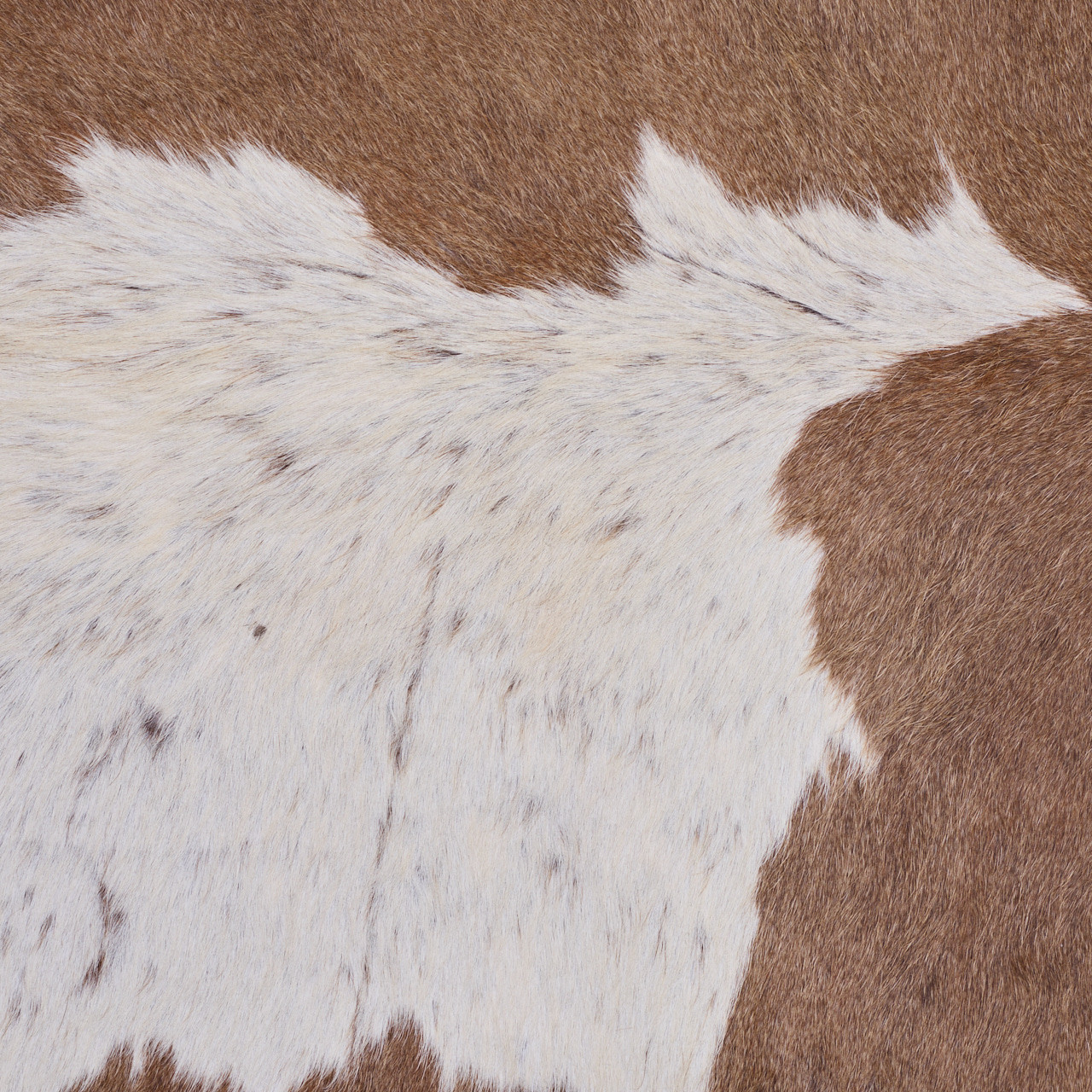 Cowhide Rug JAN25-182 (230cm x 200cm) - City Cows