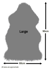 Oyster Single Sheepskin Rug - SINGLEOYST