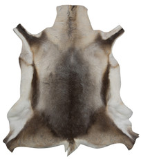 Reindeer Hide FRD001 (120cm x 115cm)