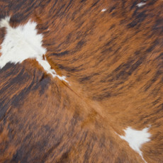 brindle cowhide rug