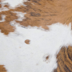 Cowhide Rug JAN23-140 (200cm x 190cm)