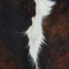 Cowhide Rug OCT23-146 (210cm x 190cm)