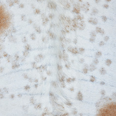 Cowhide Rug DEC23-014 (230cm x 210cm)