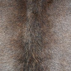 Cowhide Rug DEC23-054 (185cm x 185cm)