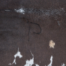 Cowhide Rug DEC23-100 (195cm x 200cm)