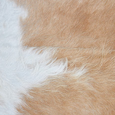 Cowhide Rug DEC23-143 (215cm x 200cm)