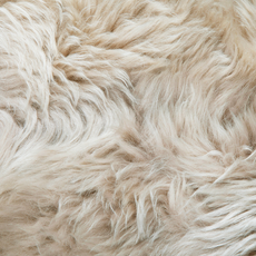 Oyster Triple Sheepskin Rug