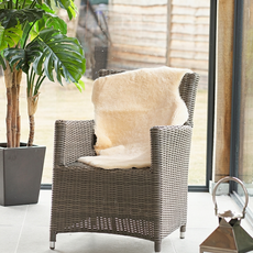 Champagne Shearling Sheepskin Rug - SSSCHAMP