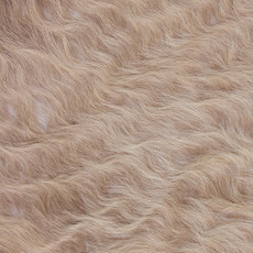 Cowhide Rug MAR24-003 (240cm x 210cm)