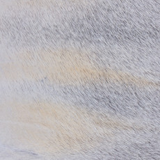 Cowhide Rug MAR24-013 (260cm x 190cm)